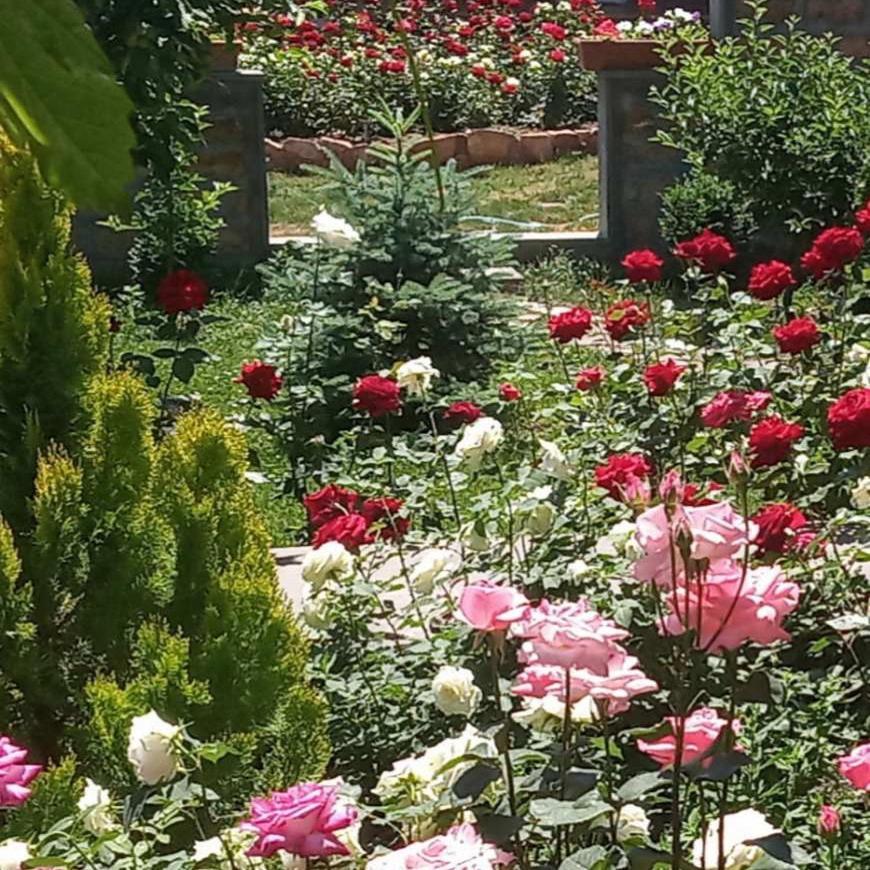 Guest House Hasmik Yeghegnadzor Εξωτερικό φωτογραφία